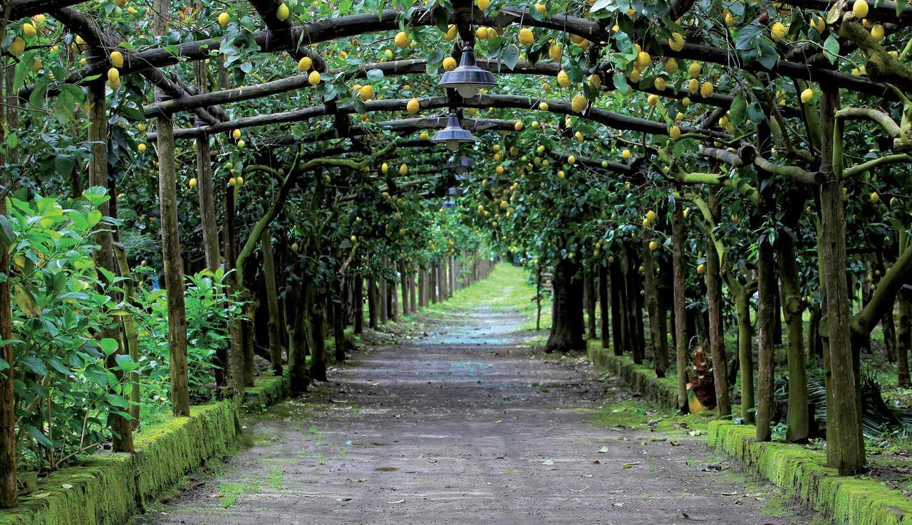 Agriturismo Il Convento 马萨鲁布朗斯 外观 照片